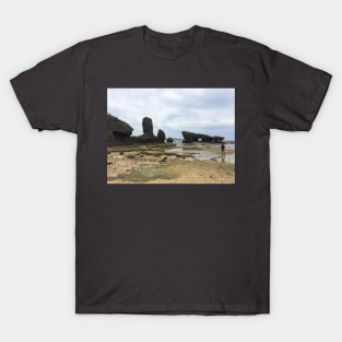 Tomarigusuku Park T-Shirt